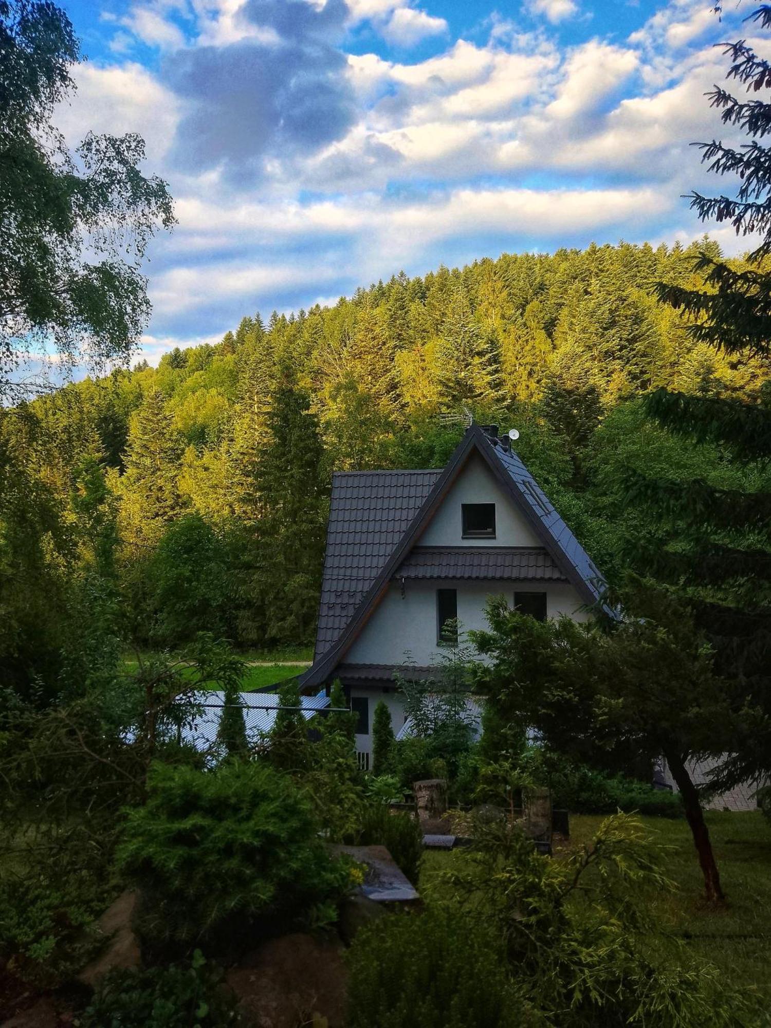 Apartamento Zaciszny Zakatek Zawoja Exterior foto