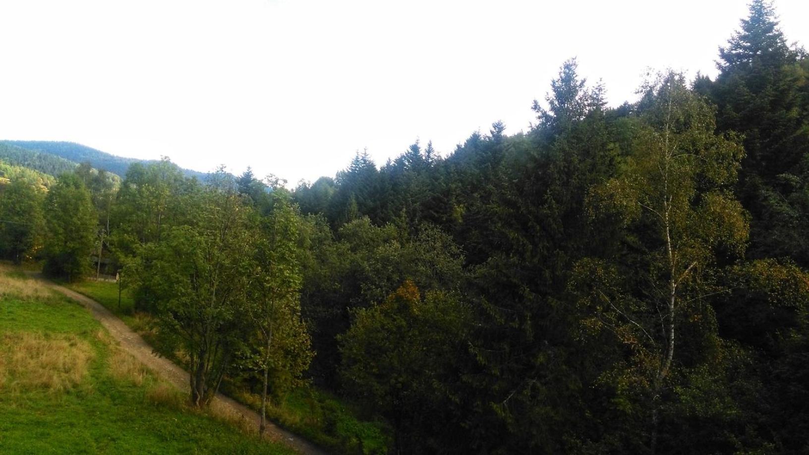 Apartamento Zaciszny Zakatek Zawoja Exterior foto